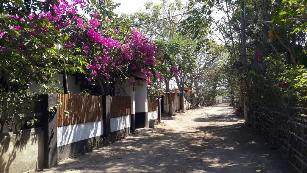 Dili Gili Bed and Breakfast Gili Trawangan Eksteriør billede