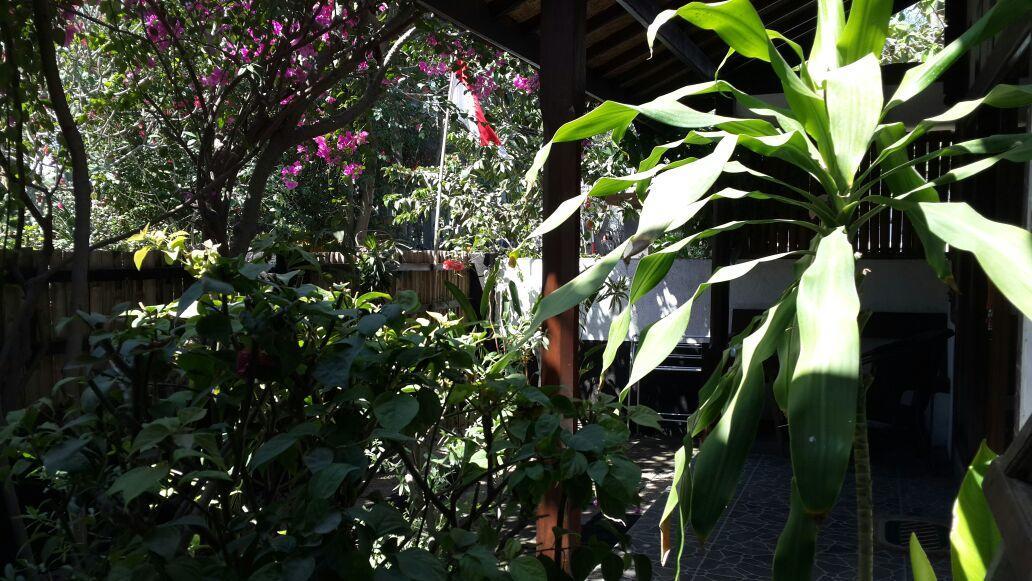 Dili Gili Bed and Breakfast Gili Trawangan Eksteriør billede